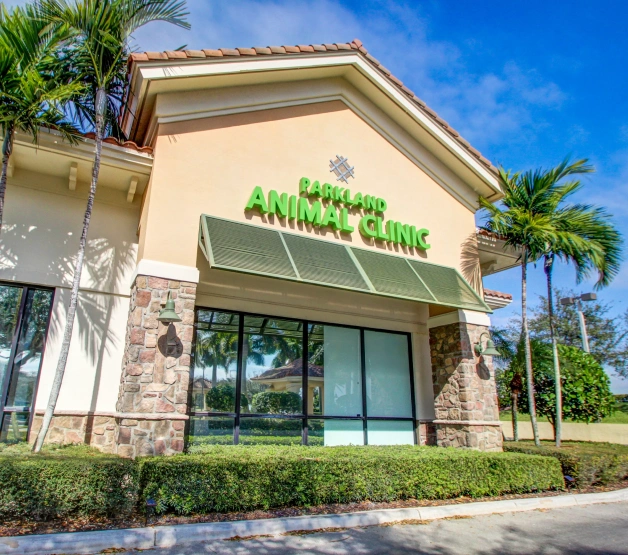 Parkland Animal Clinic - Premier Veterinarian in Parkland